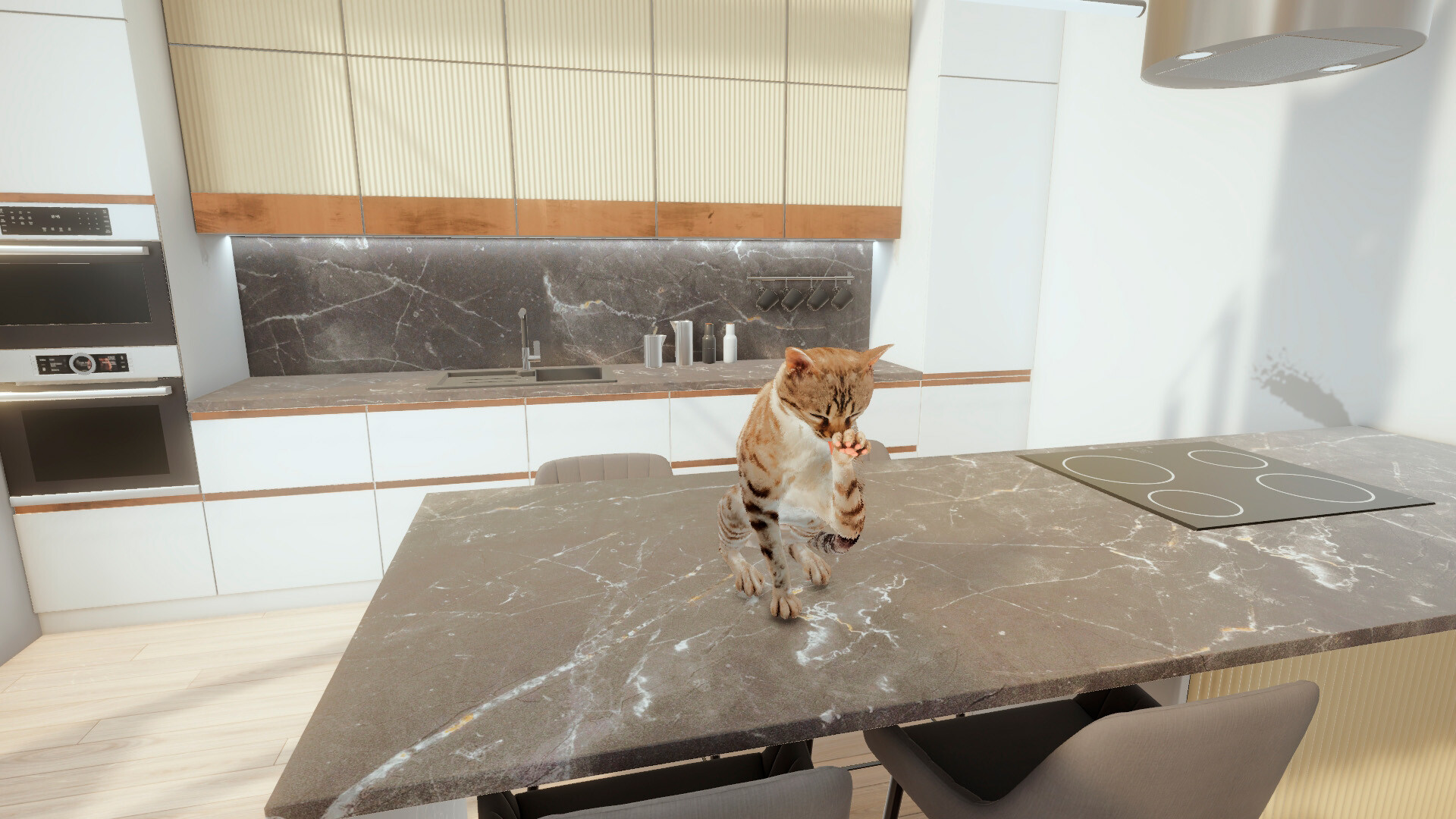 Cats Game - Screenshot 2