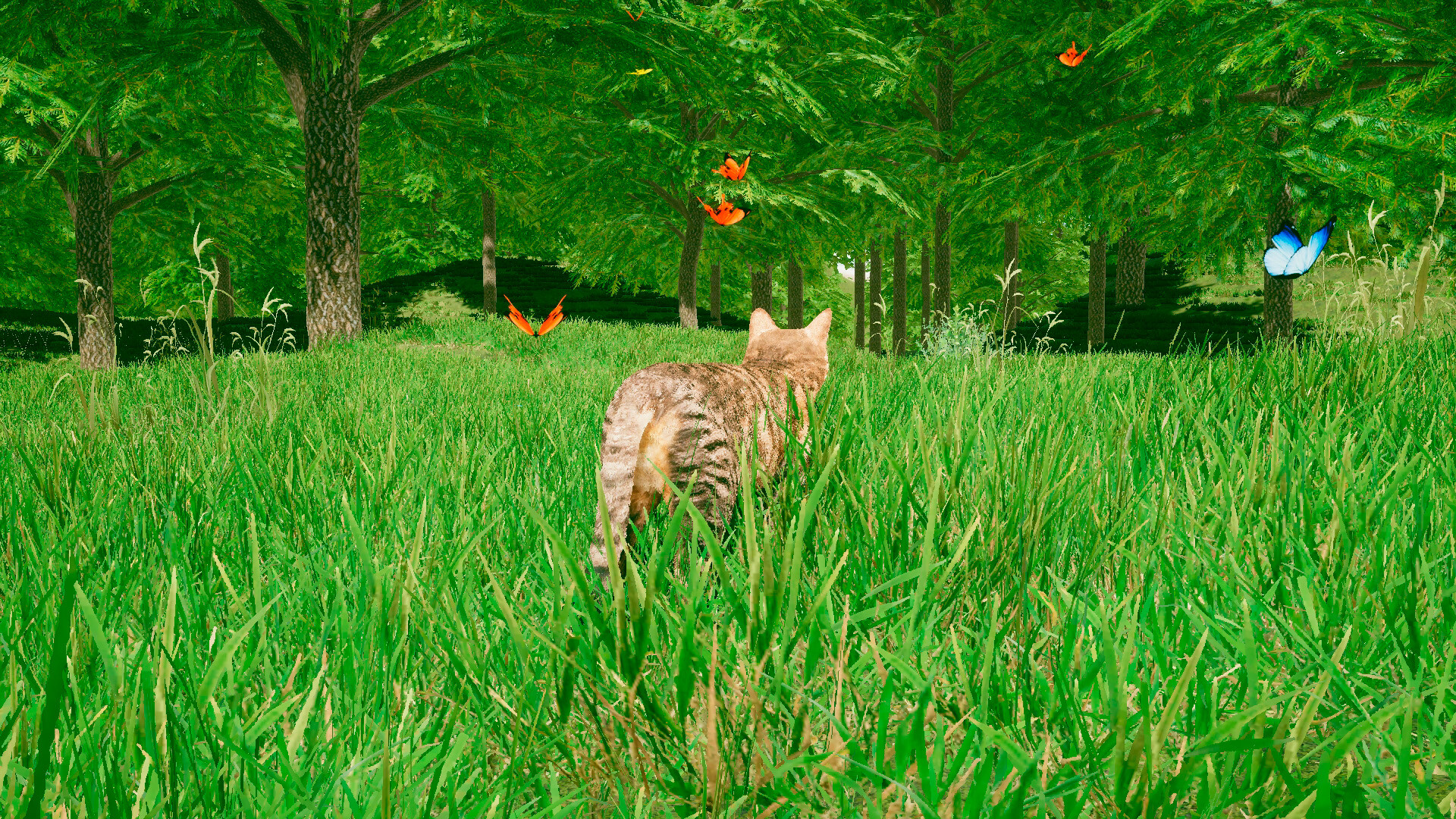 Cats Game - Screenshot 4