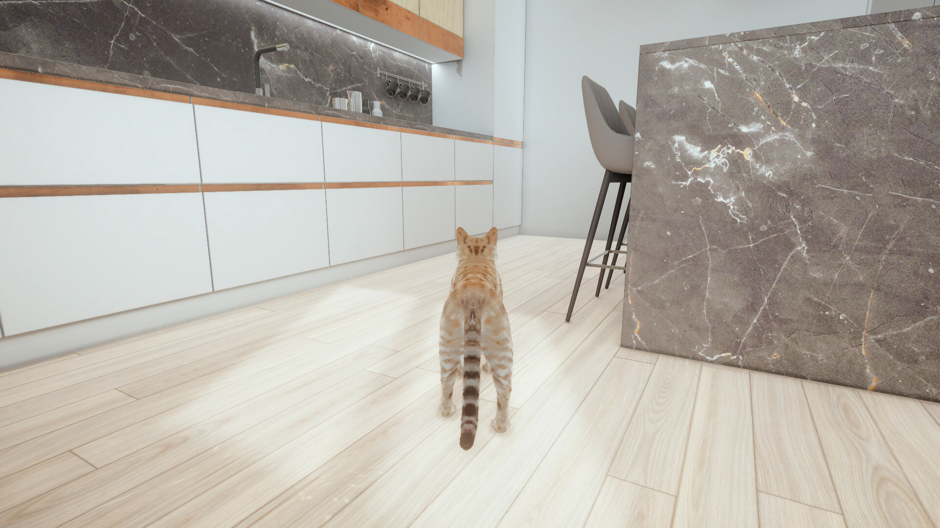 Cats Game - Screenshot 3