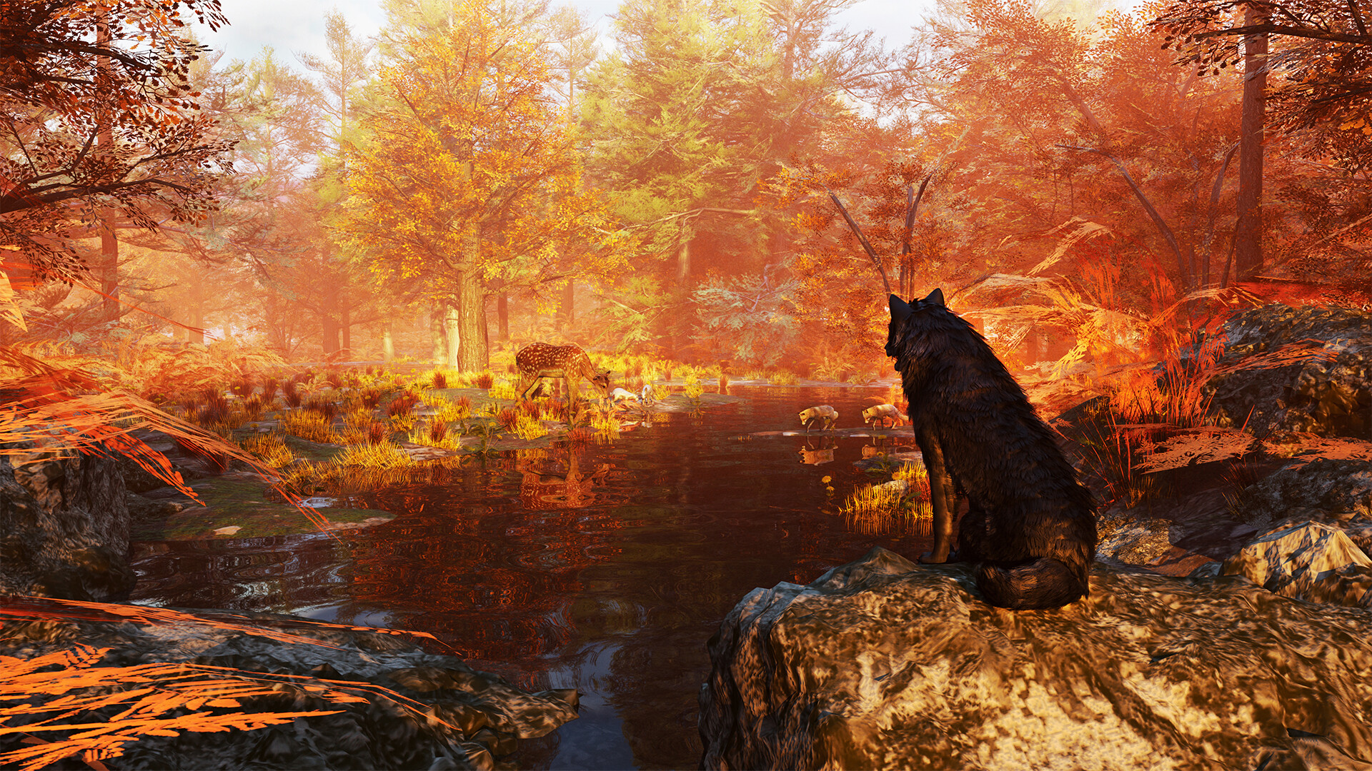 Wolf Simulator - Screenshot 2