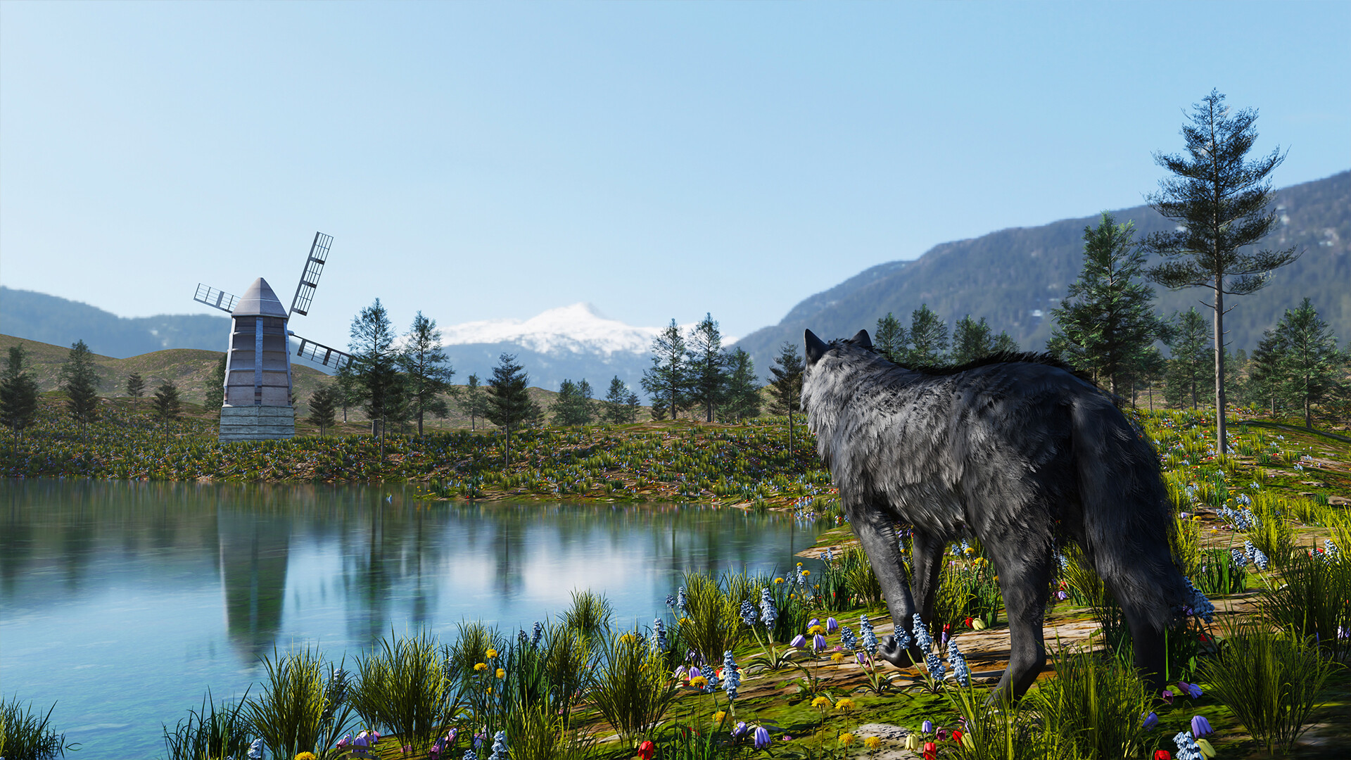 Wolf Simulator - Screenshot 10