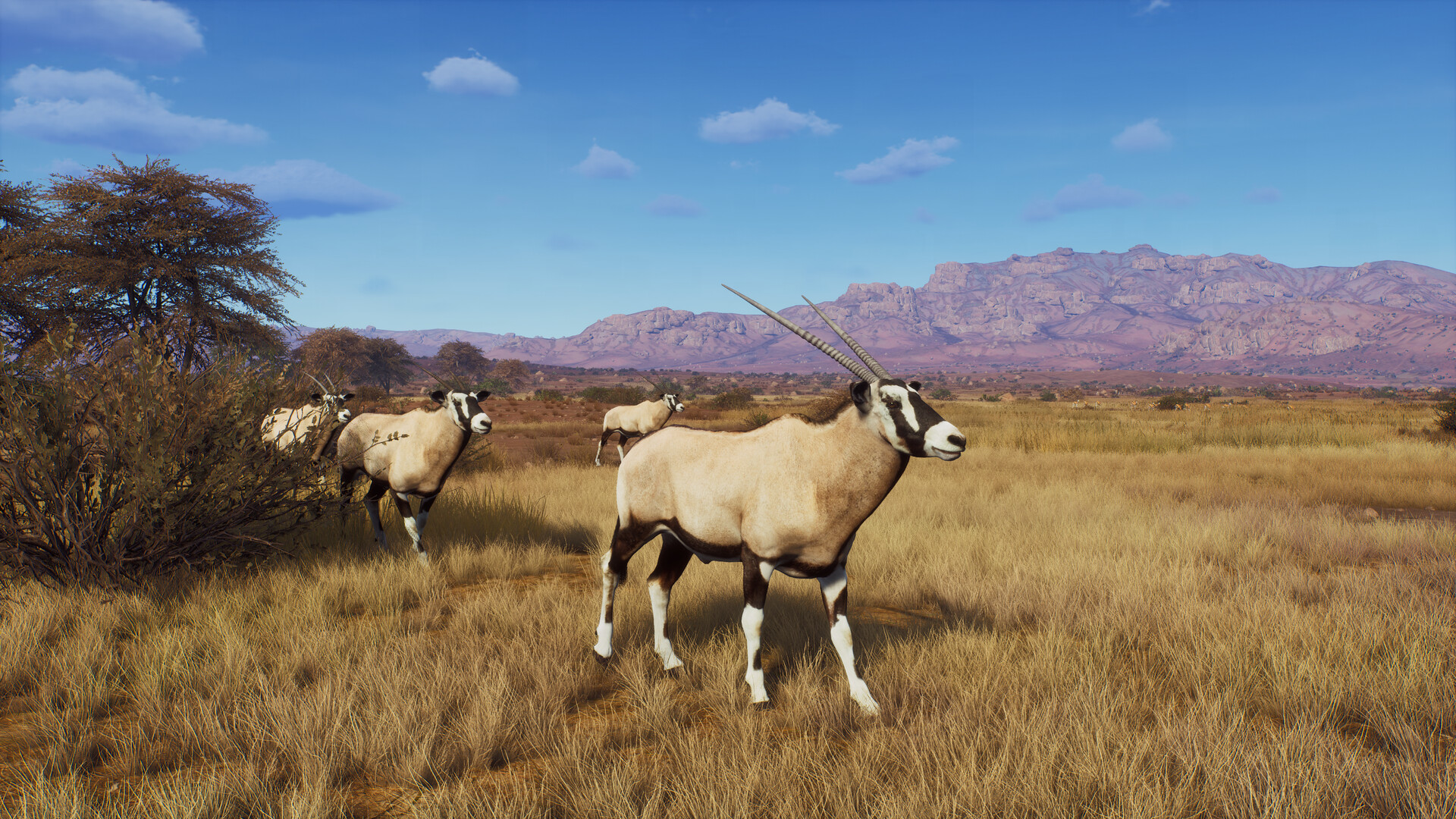 Game Background