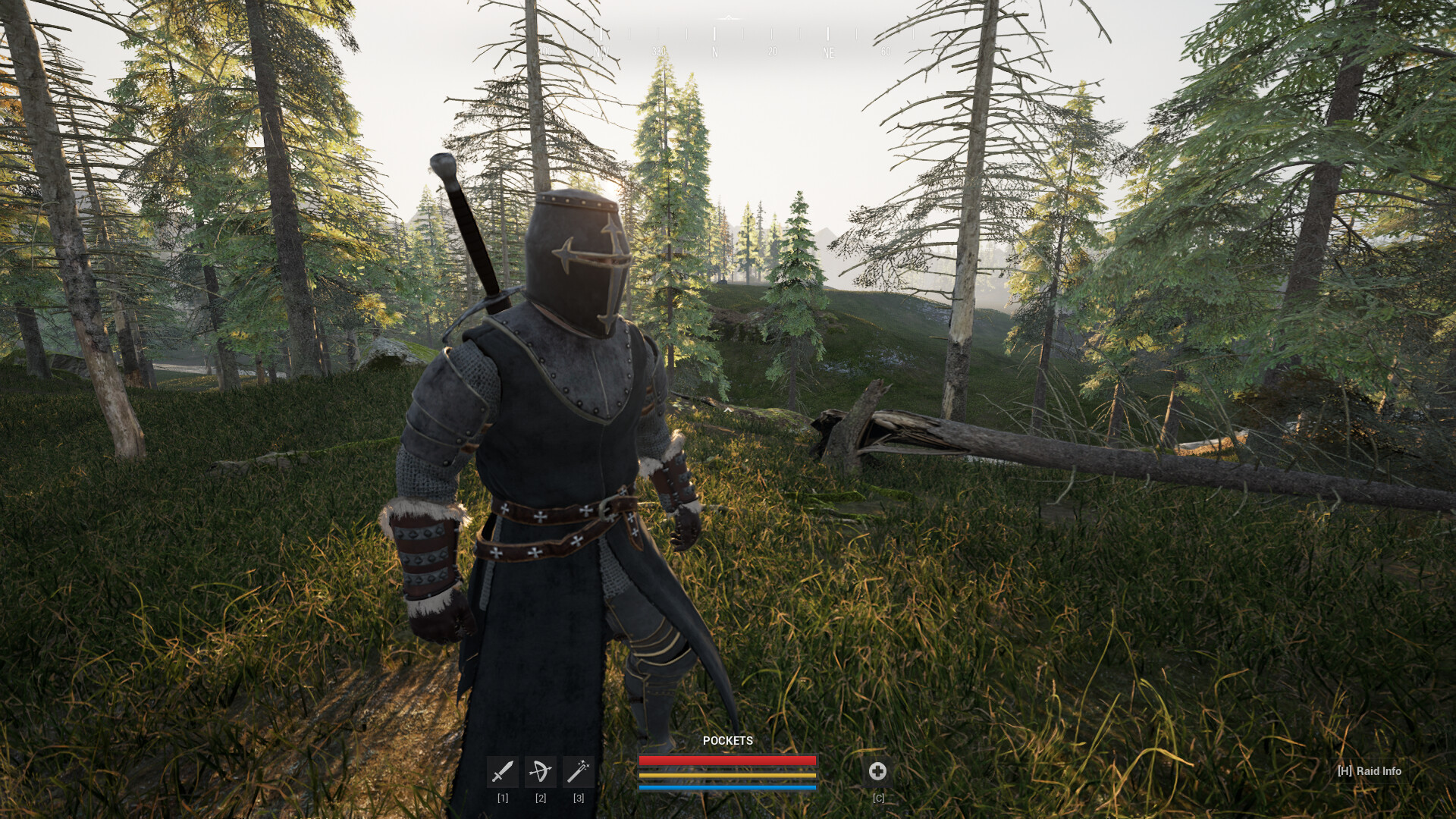 Raider: Dark Age - Screenshot 4