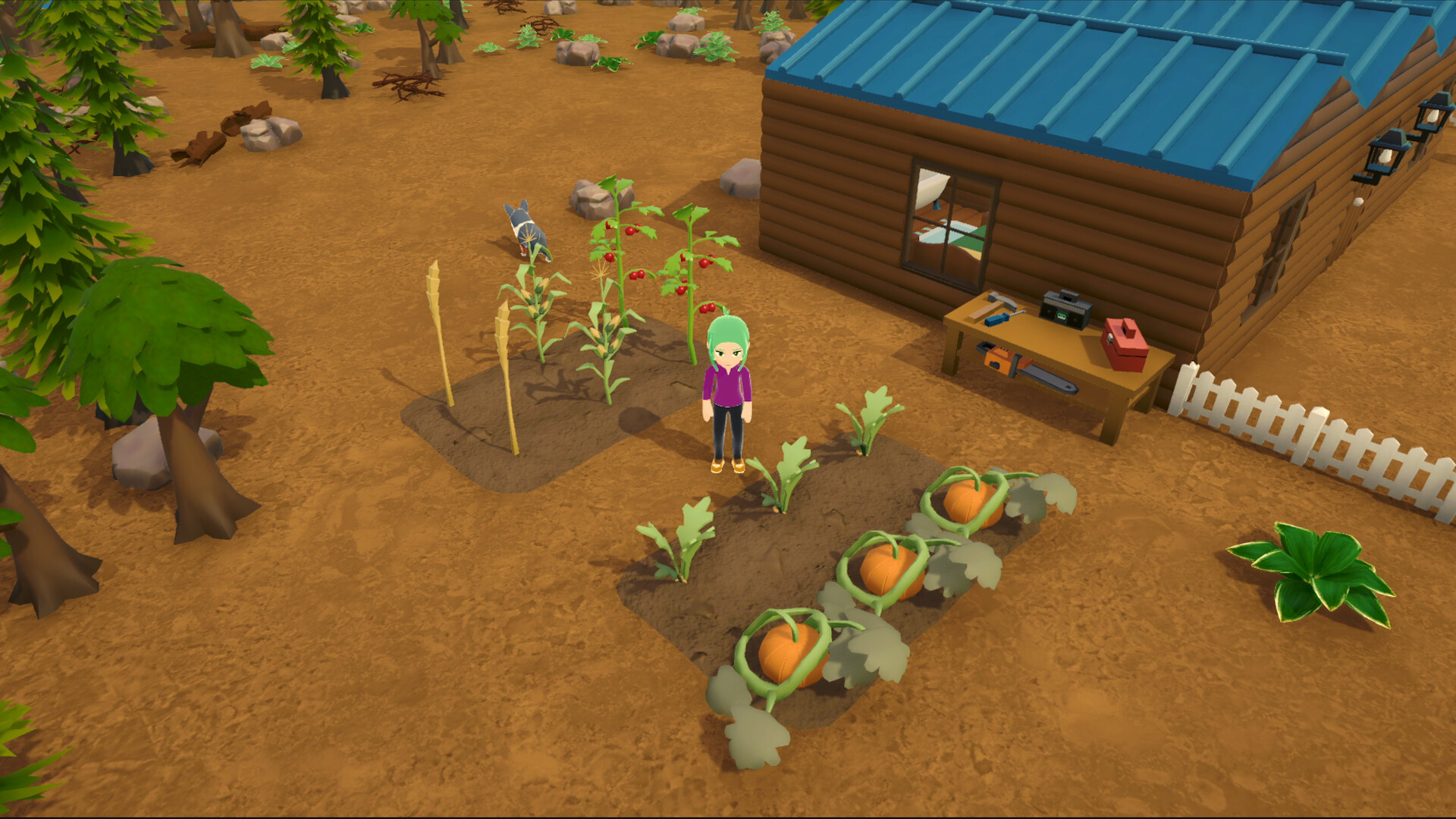 Alpine Lake - Screenshot 3