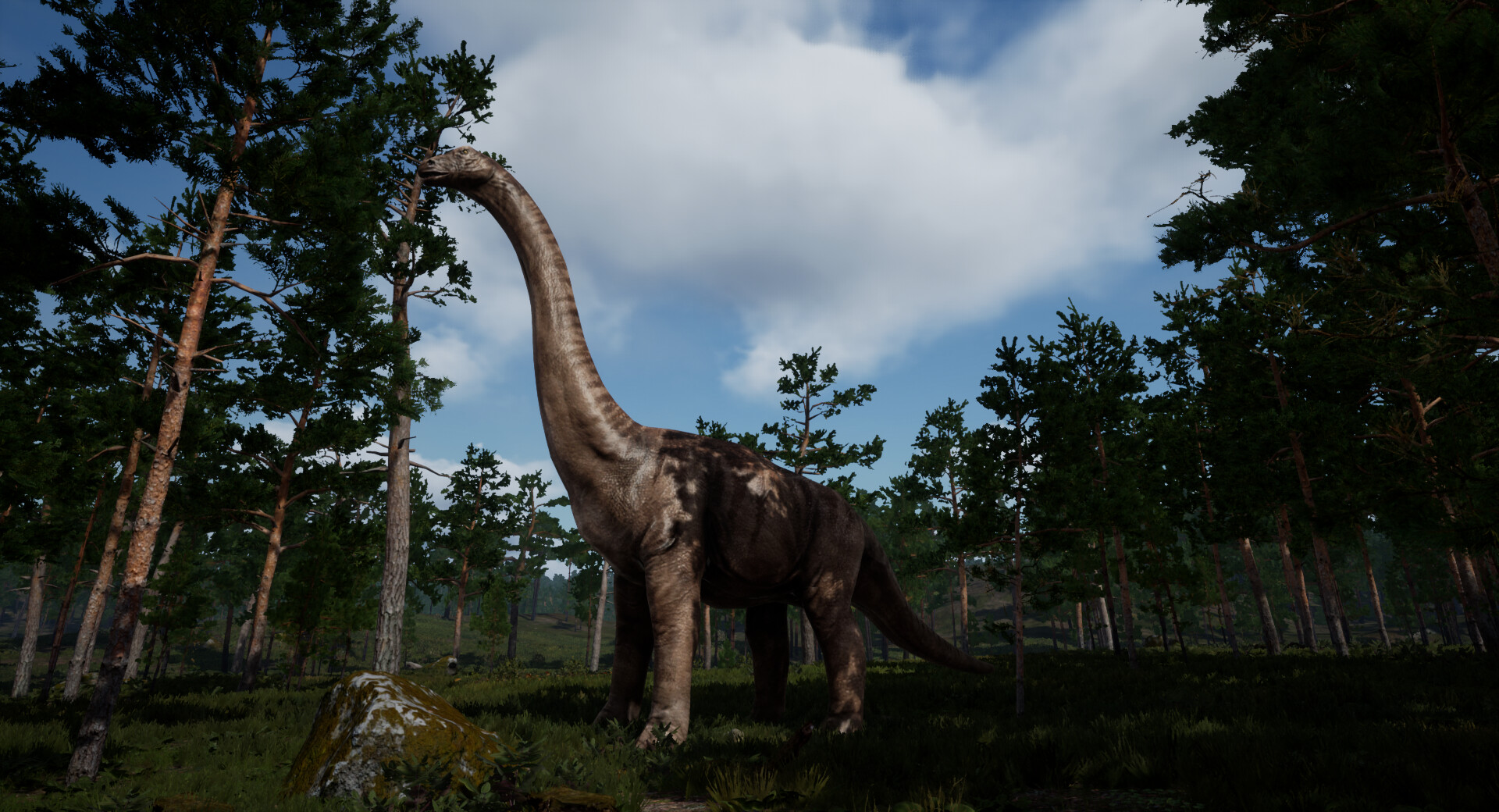 Wild Alone - Screenshot 2