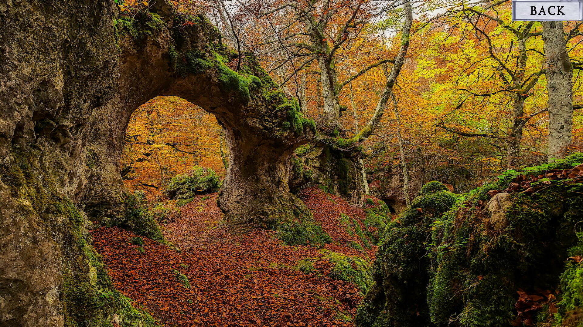 Wicked Times - Screenshot 4