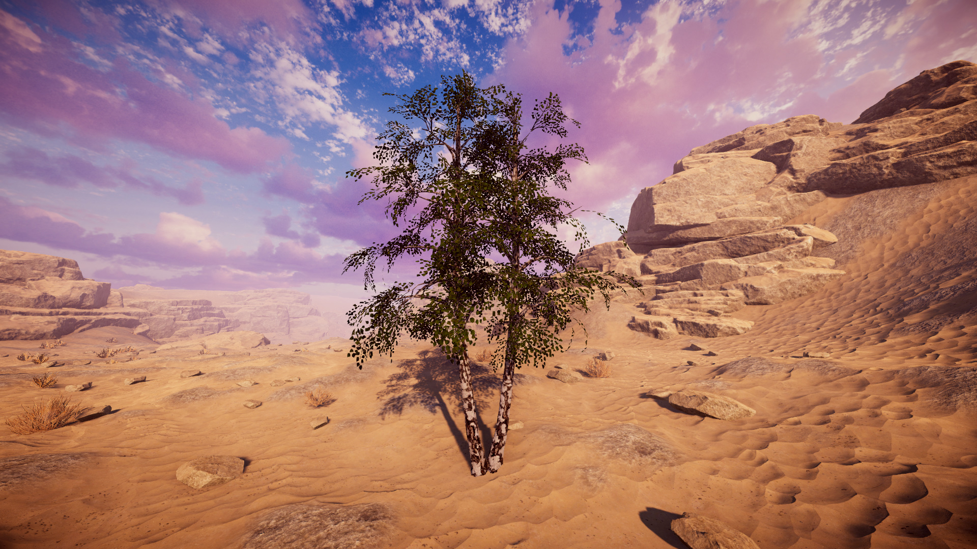 Asset 13