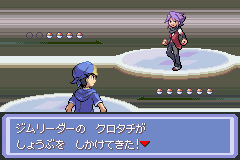 Pokémon Procyon and Deneb - Screenshot 4