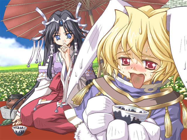 Koutei Heika ni Narou! - Screenshot 8