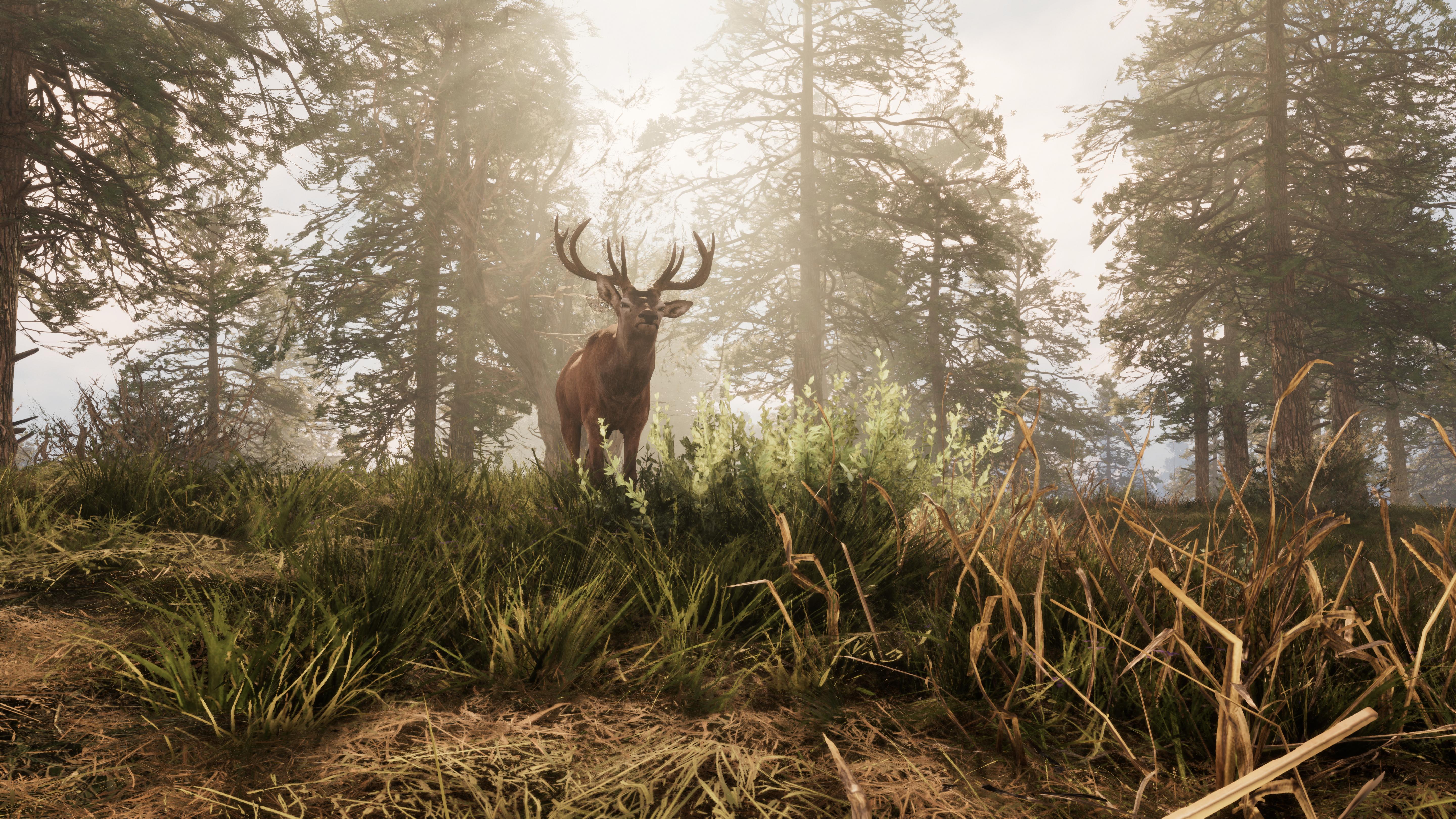 A Twisted Path To Renown - Screenshot 16