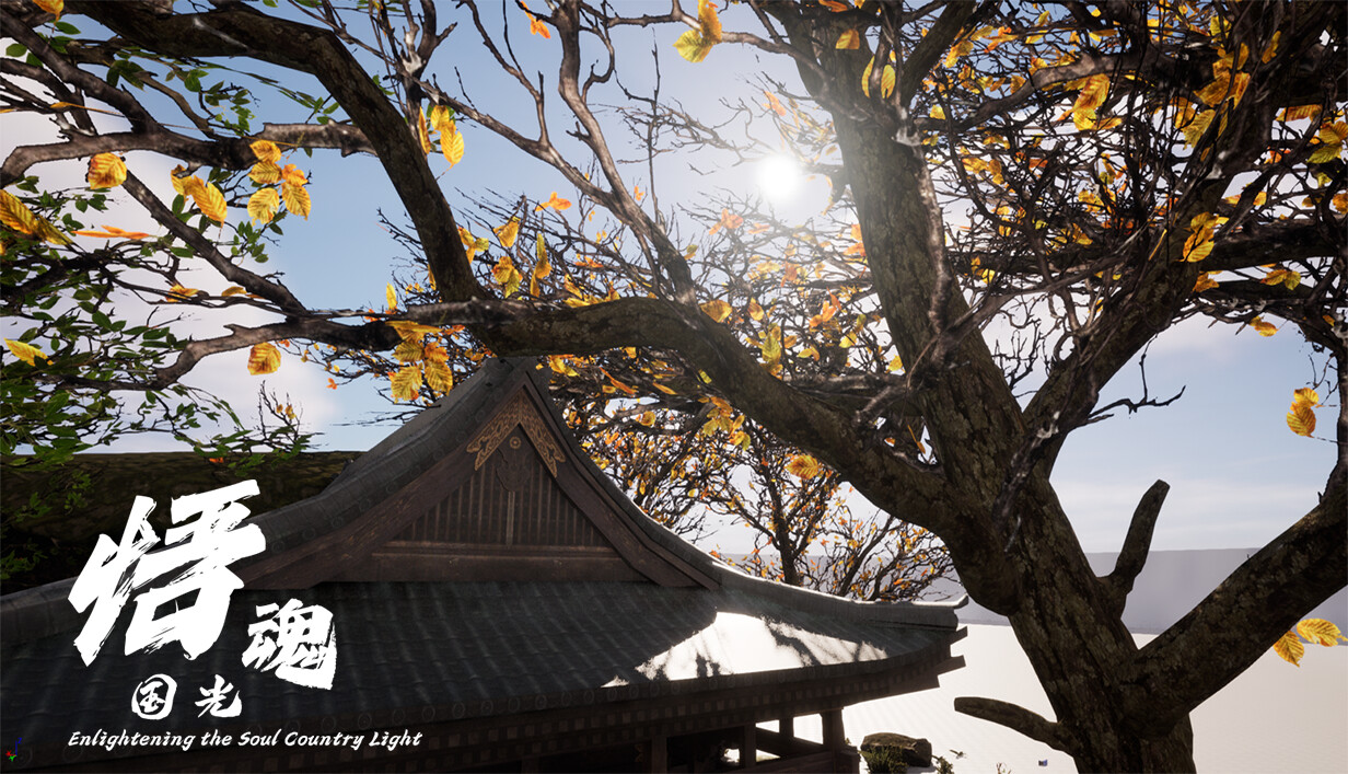 Enlightening the Soul Country Light - Screenshot 6