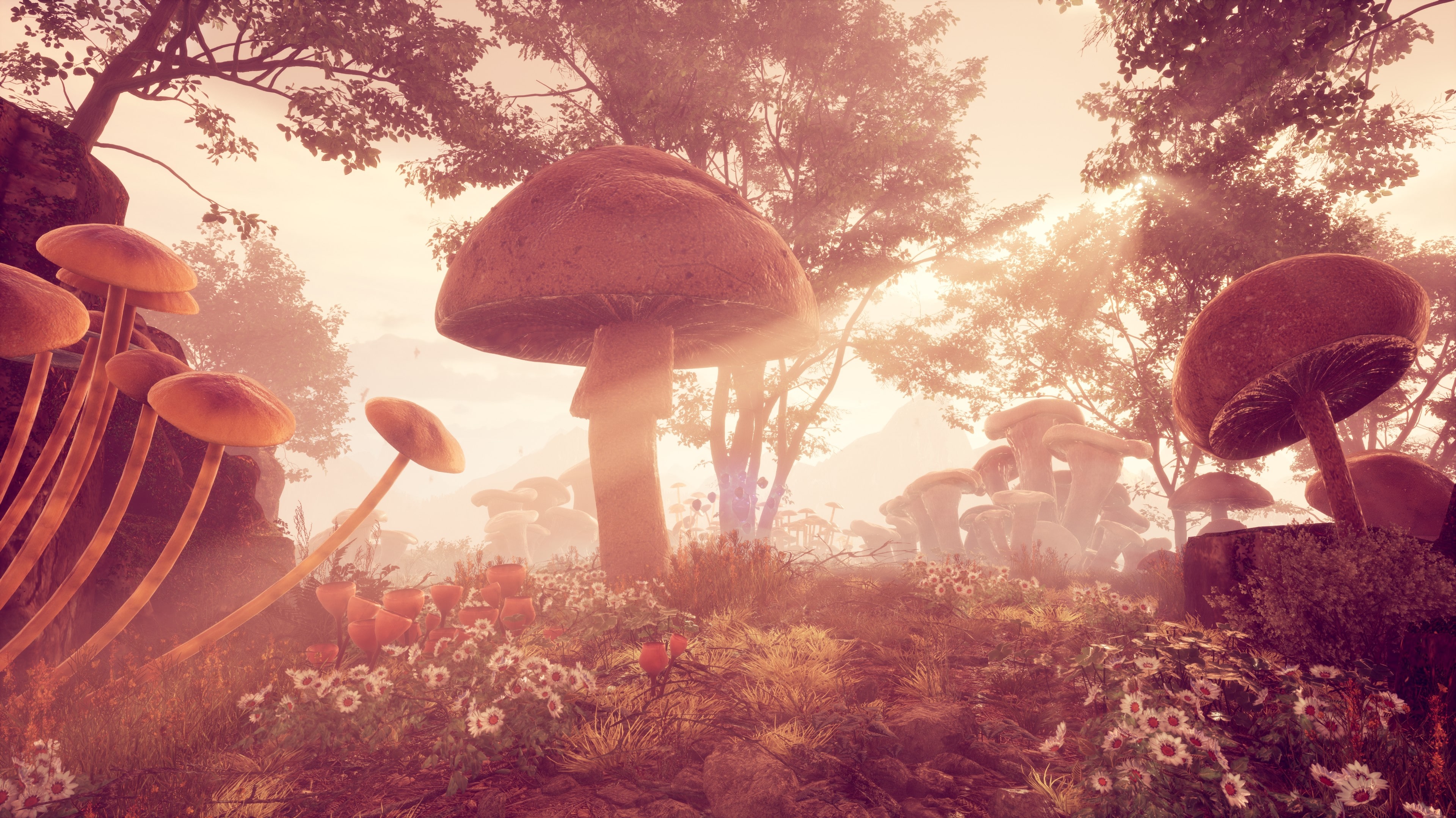 Game Background