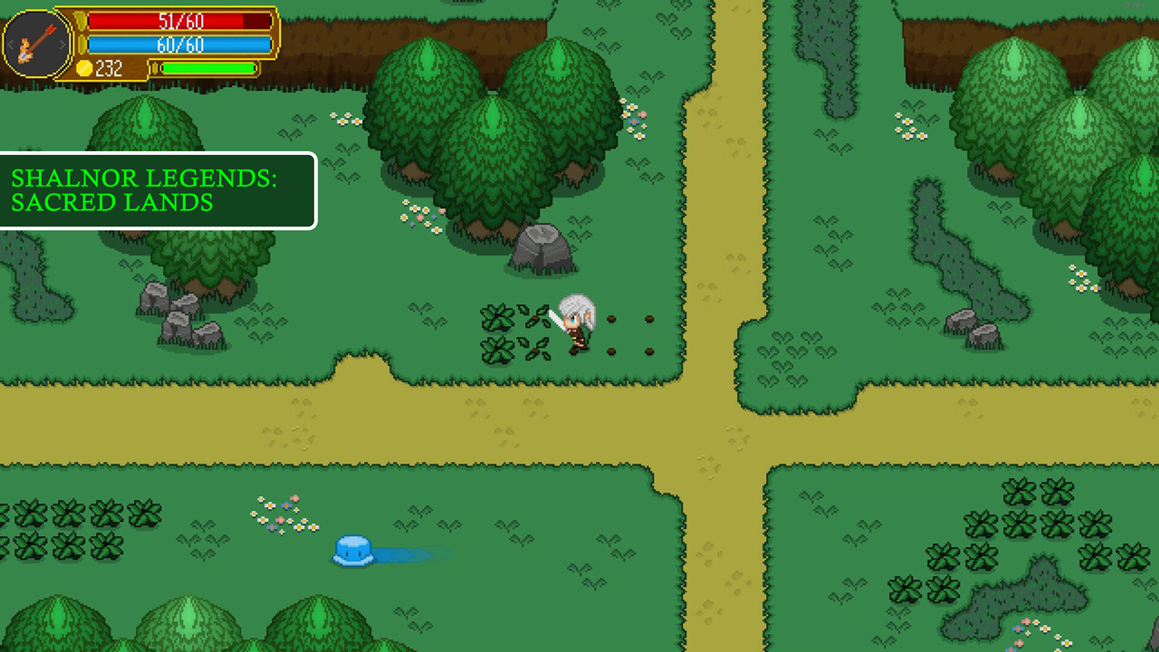 Shalnor Legends Double Bundle - Screenshot 5