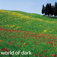 World of Dark - Screenshot 3