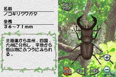 Mushi! Machi no Konchuu Monogatari - Screenshot 5