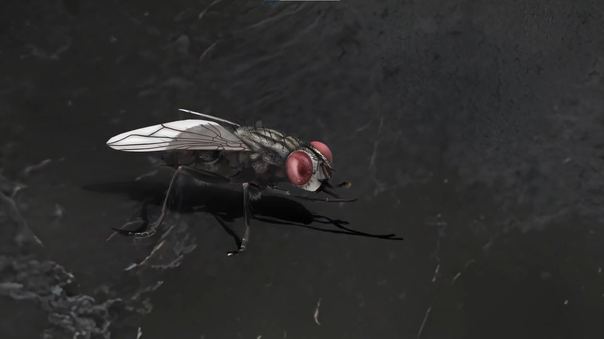 The Filfth of Us - Screenshot 7