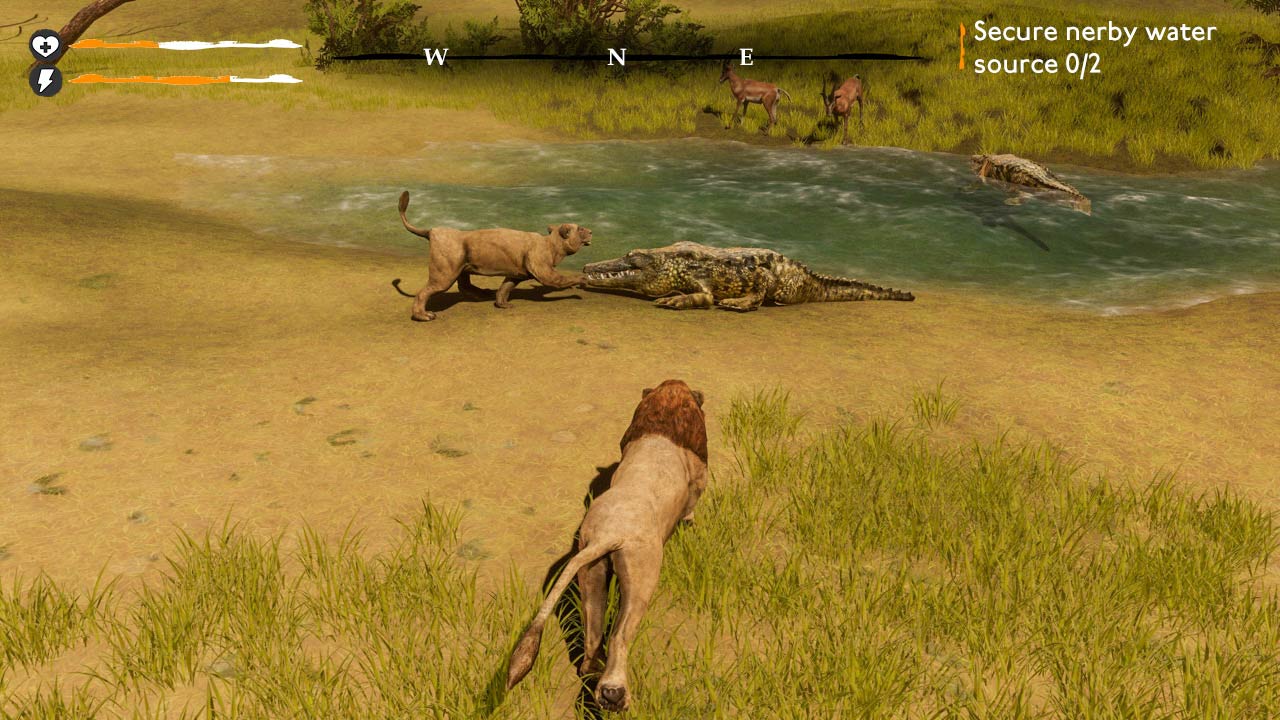 Lion Simulator Survival: RPG Animal Battle - Screenshot 6