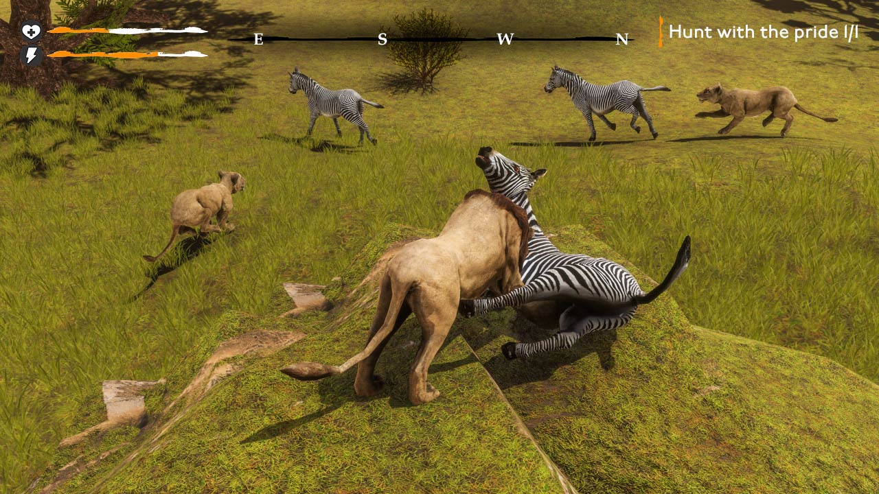 Lion Simulator Survival: RPG Animal Battle - Screenshot 3