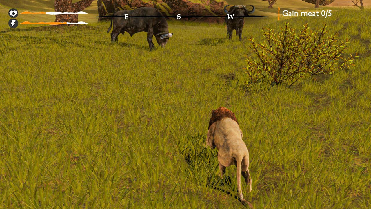 Lion Simulator Survival: RPG Animal Battle - Screenshot 4