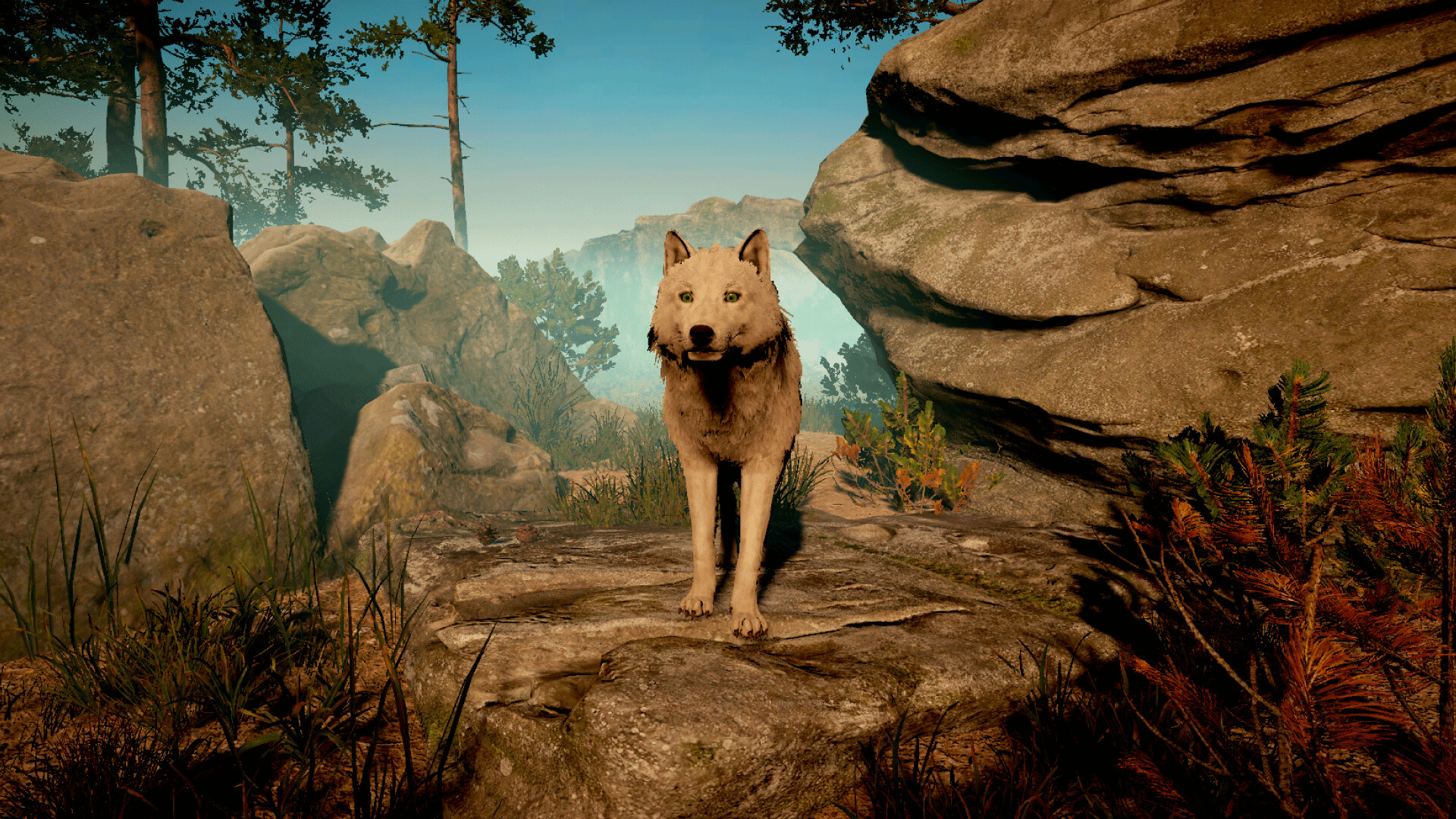 Wolf Survival - Screenshot 5