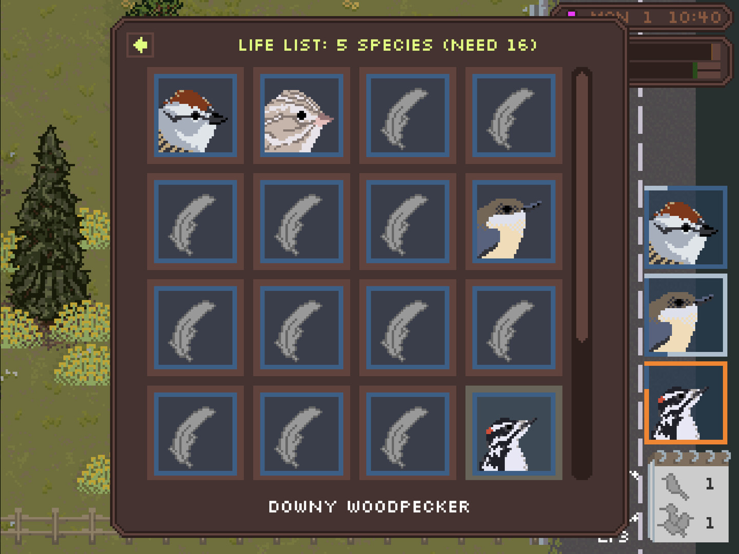 Feather Trail - Screenshot 9