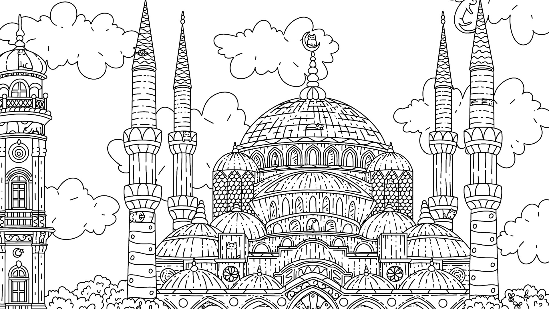 100 Istanbul Cats - Screenshot 2