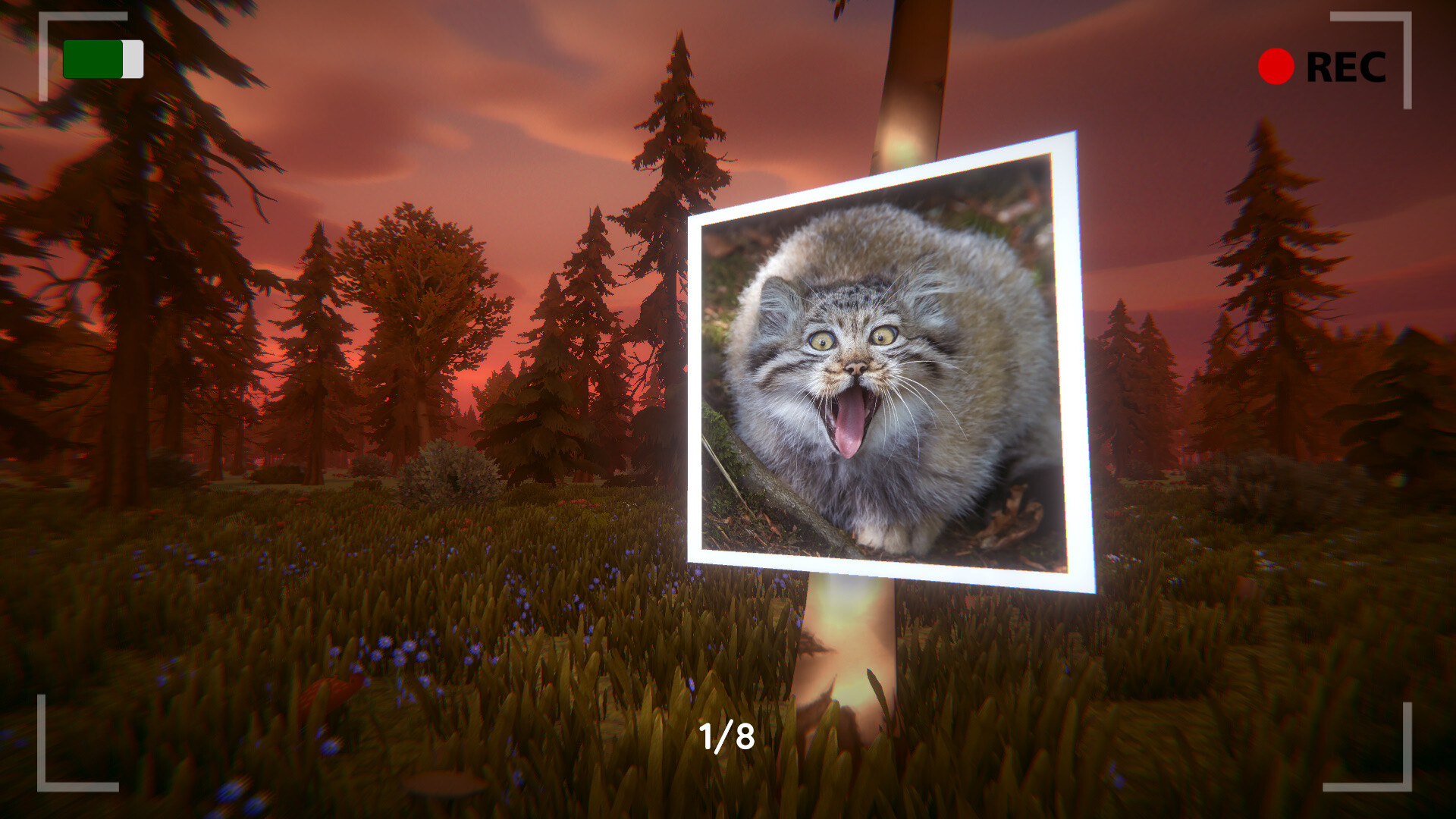 Floppa: The Dark Forest - Screenshot 5