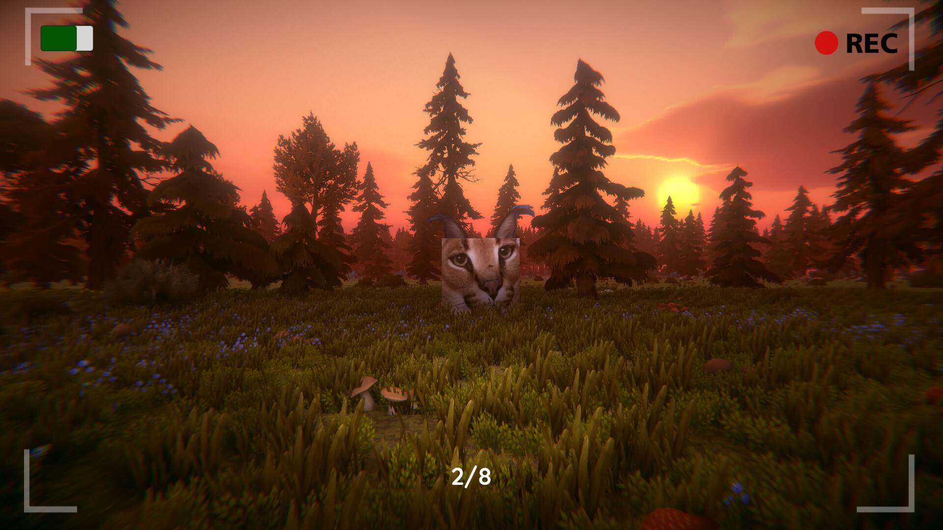 Floppa: The Dark Forest - Screenshot 12