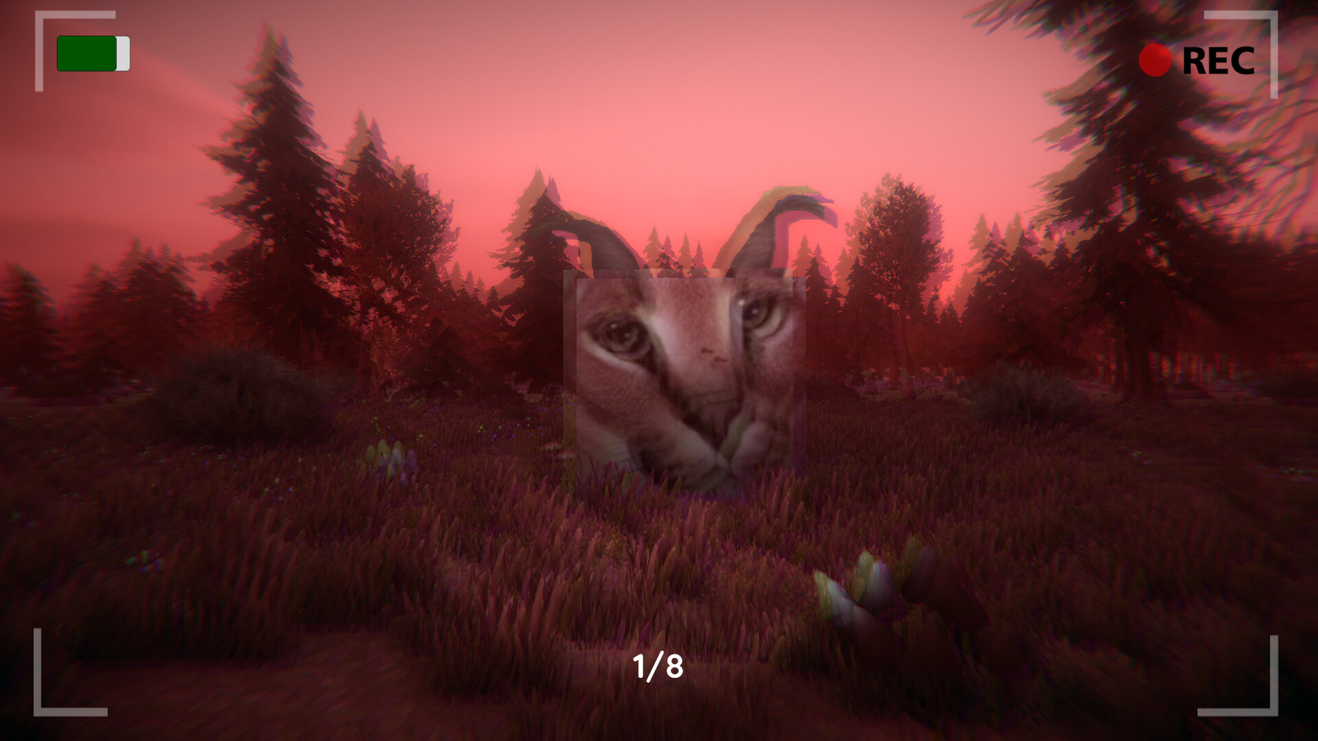 Floppa: The Dark Forest - Screenshot 11