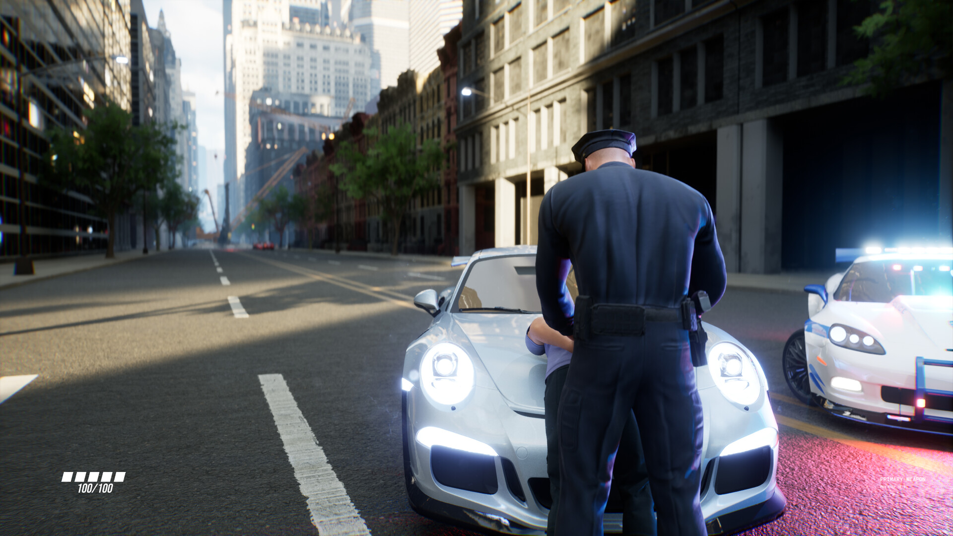 Patrol Simulator: To Protect and to Serve - Screenshot 7