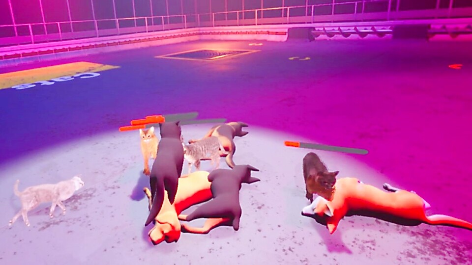 Claw Clash: Cat vs. Dog Betting - Screenshot 1