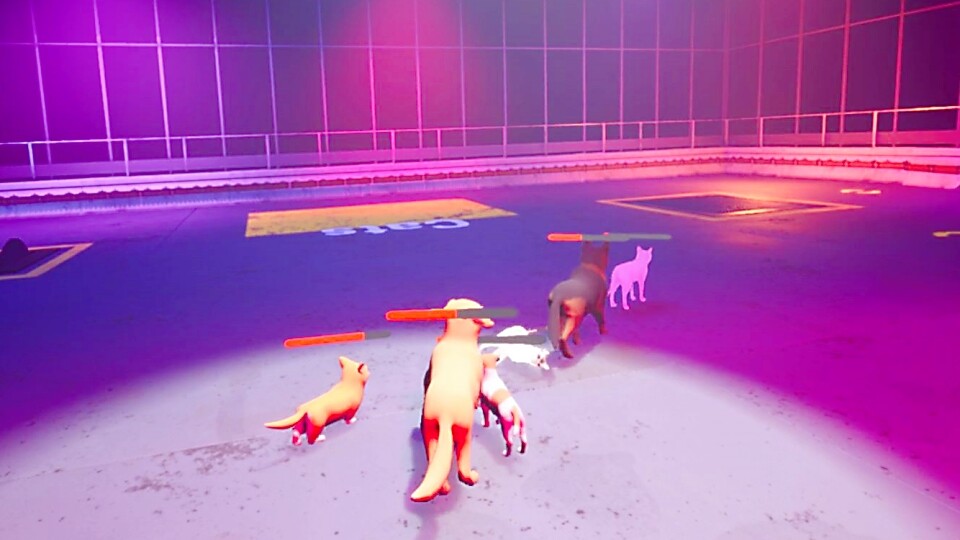 Claw Clash: Cat vs. Dog Betting - Screenshot 7