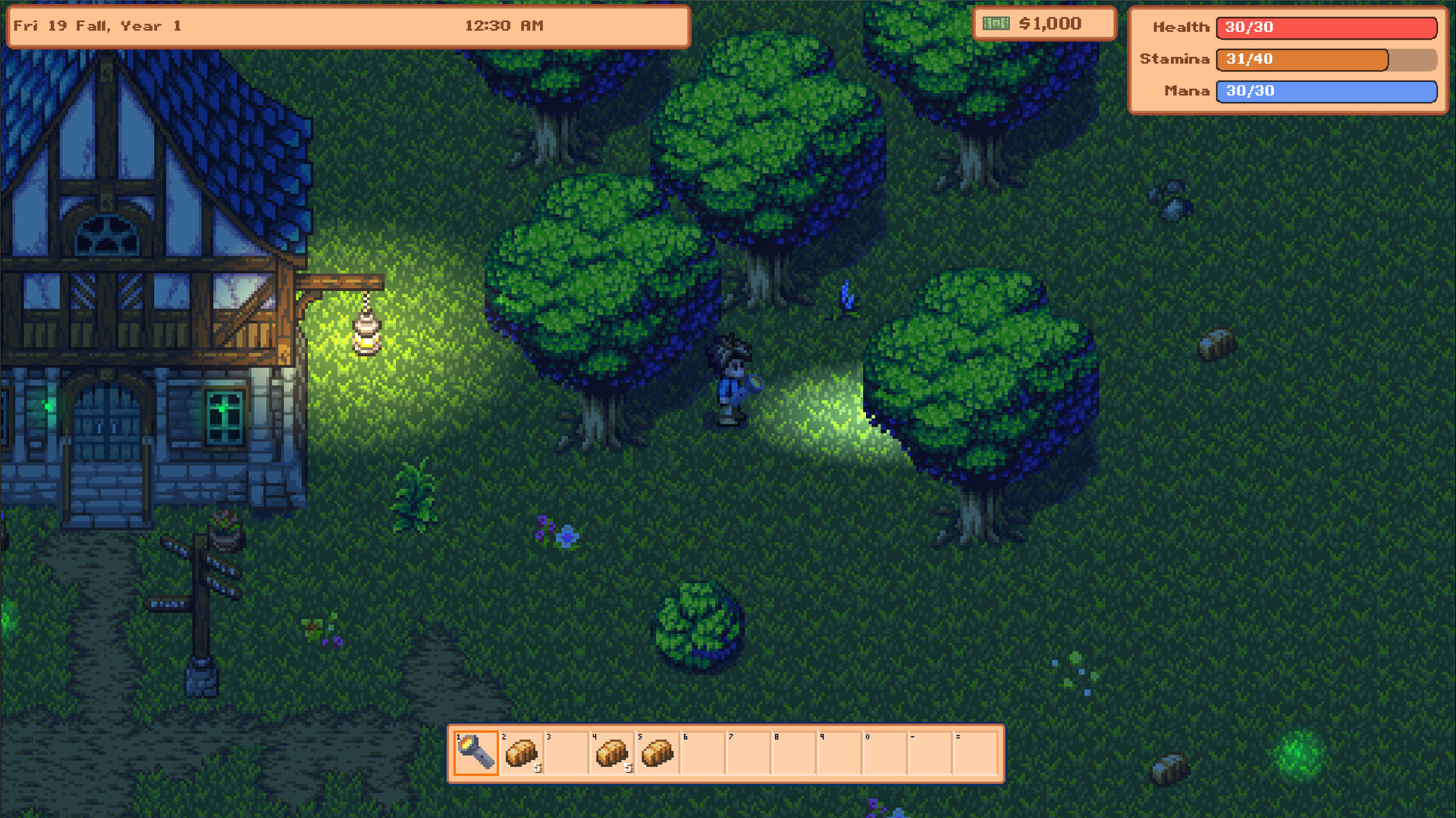 Faire Hollow - Screenshot 1