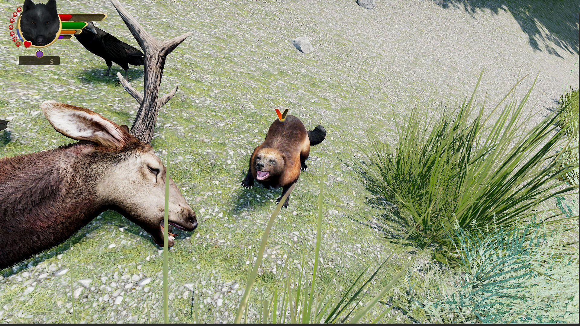 WolfQuest: Anniversary Edition - Hellroaring Mountain - Screenshot 14