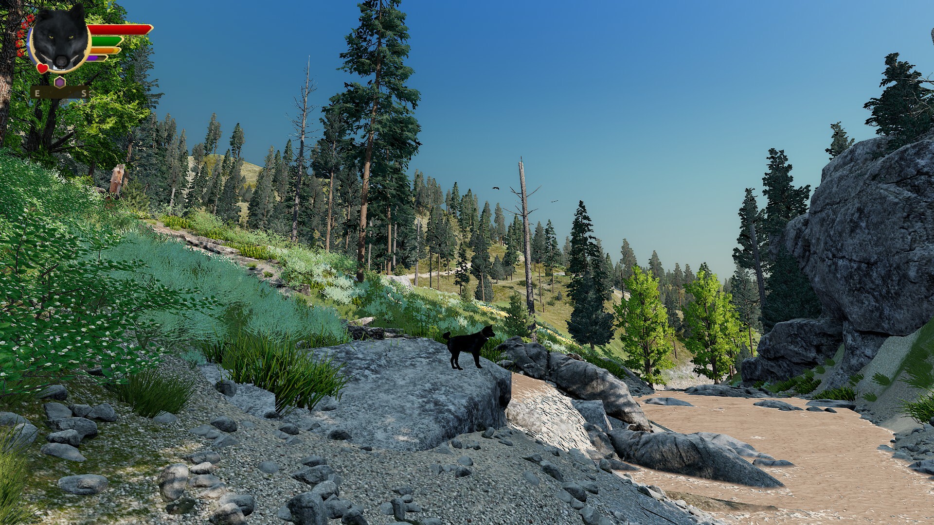 WolfQuest: Anniversary Edition - Hellroaring Mountain - Screenshot 12
