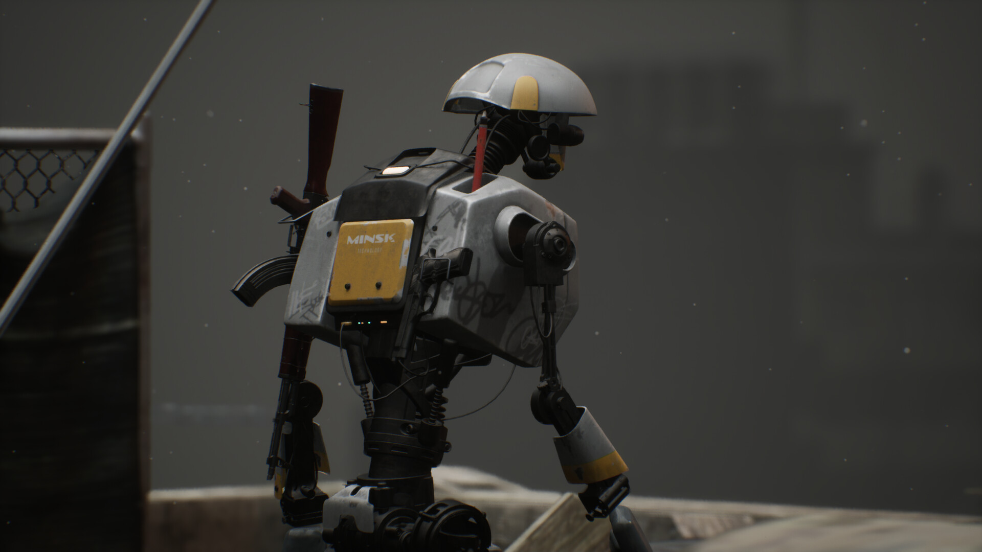 Asset 6