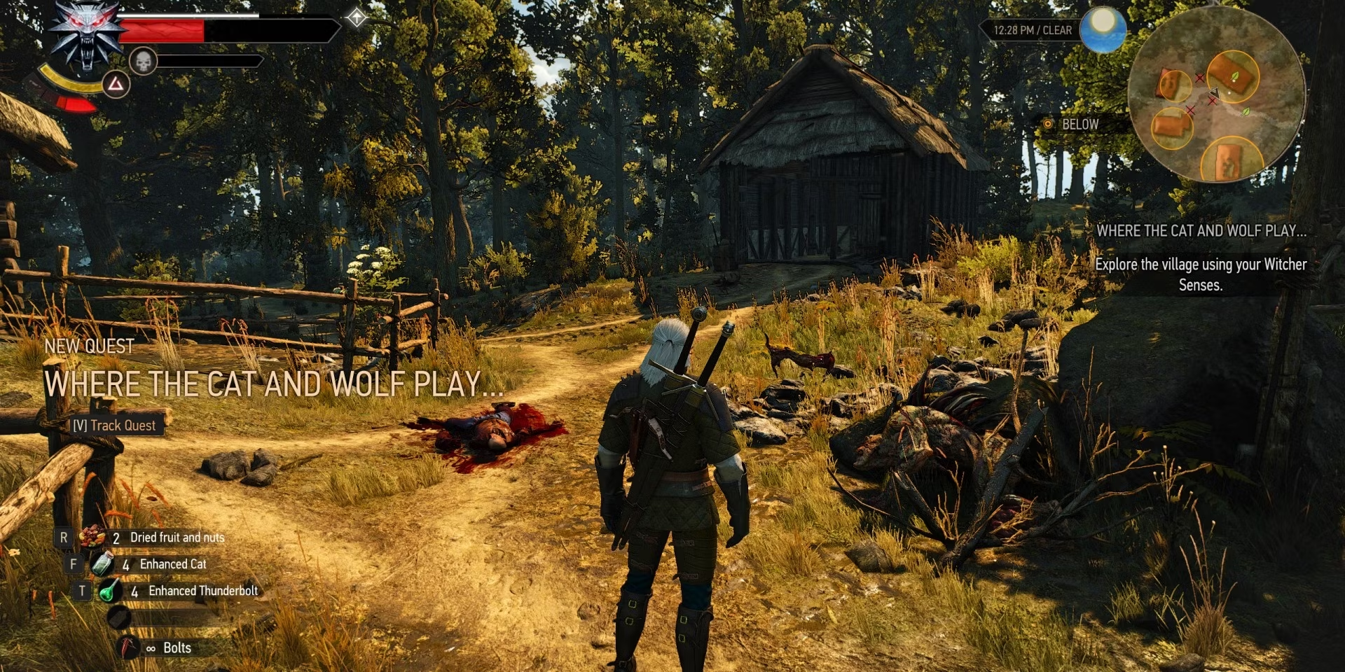 The Witcher 3: Wild Hunt - New Quest 'Where the Cat and Wolf Play...' - Screenshot 2