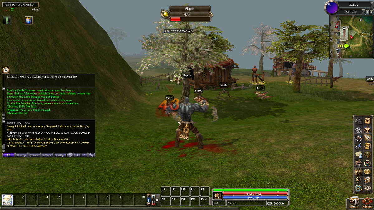 Dekaron - Screenshot 10