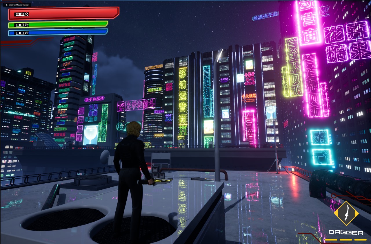 Endless Chase: Fate of Bolek - Screenshot 17