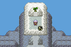 Pokémon Weird Type Fun - Screenshot 5