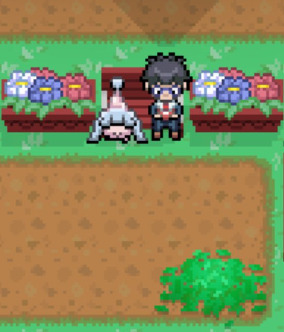 Pokémon Hidden Place - Screenshot 5