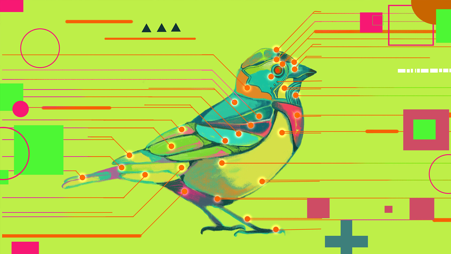 Avian Enigma - Screenshot 4