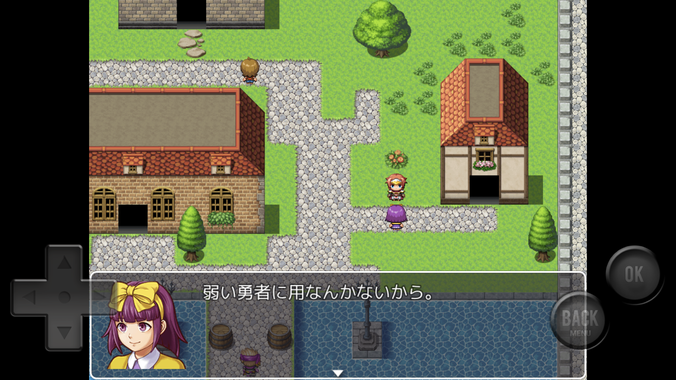Yowasugiru RPG - Screenshot 3