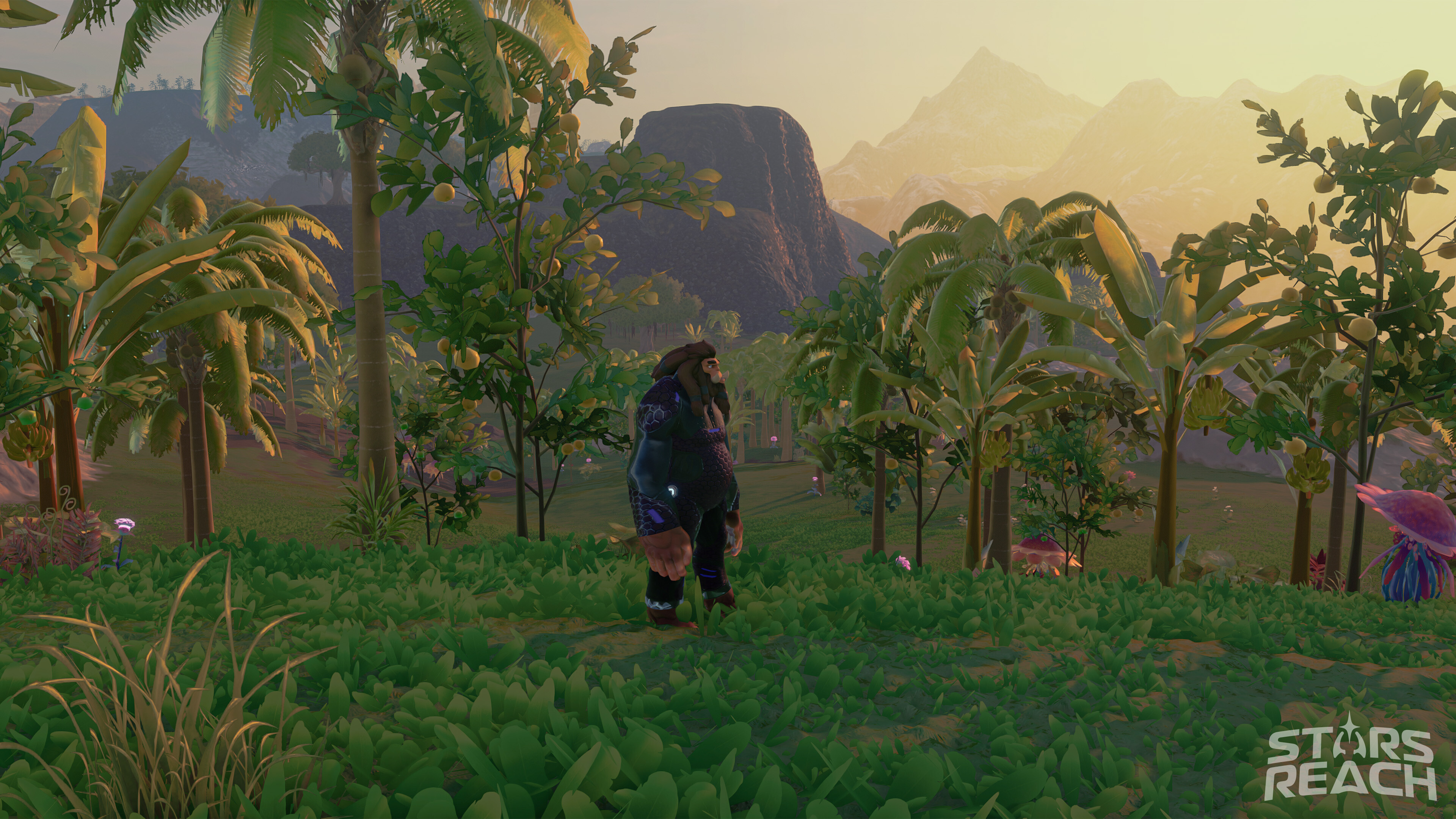 Stars Reach - Screenshot 2