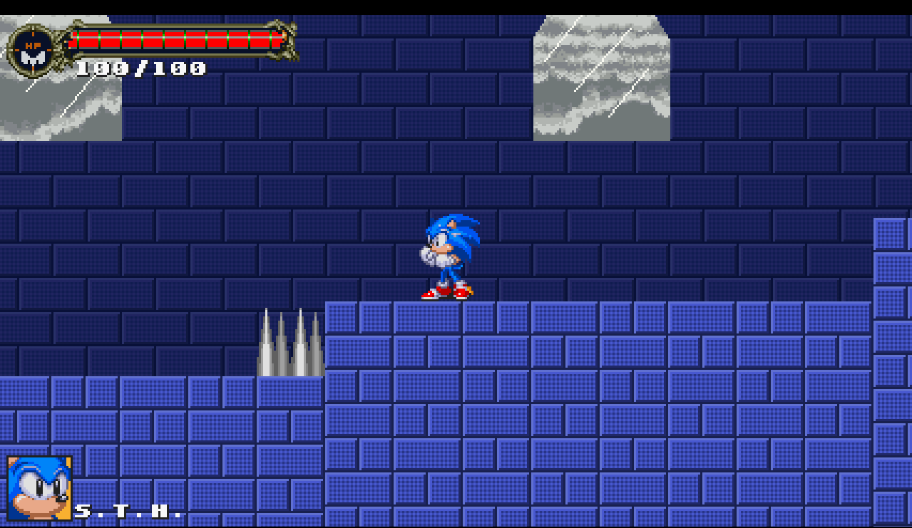 Sonic: The Murdering Insanity - Screenshot 3
