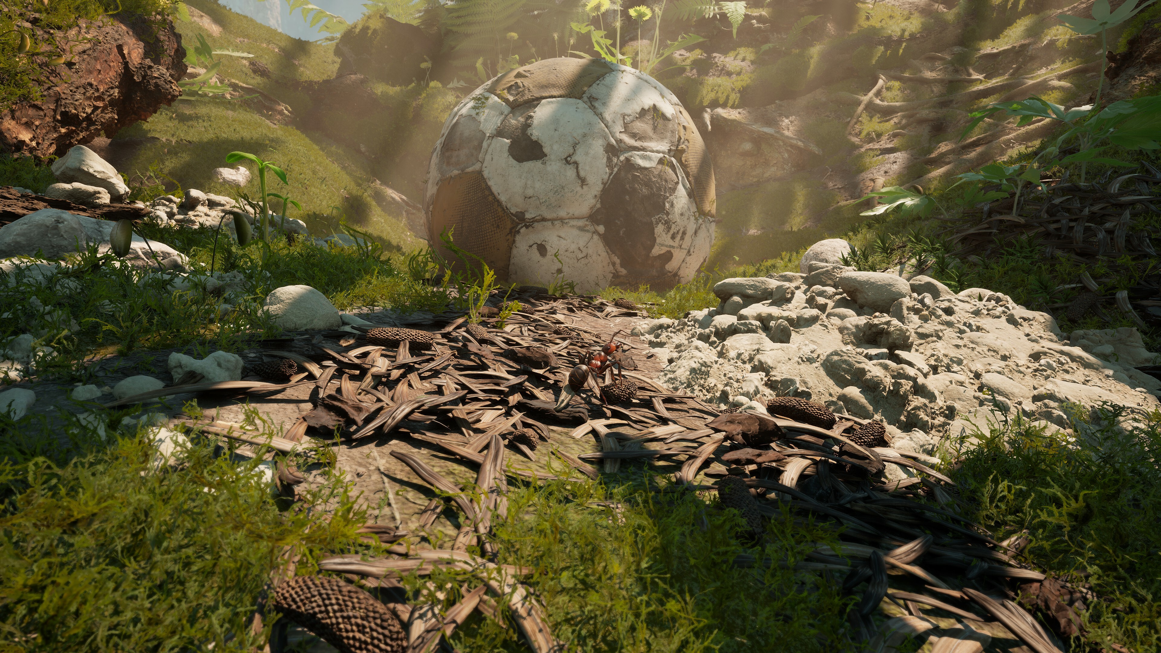 Game Background
