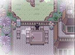 Pokémon Rejuvenation - Screenshot 1