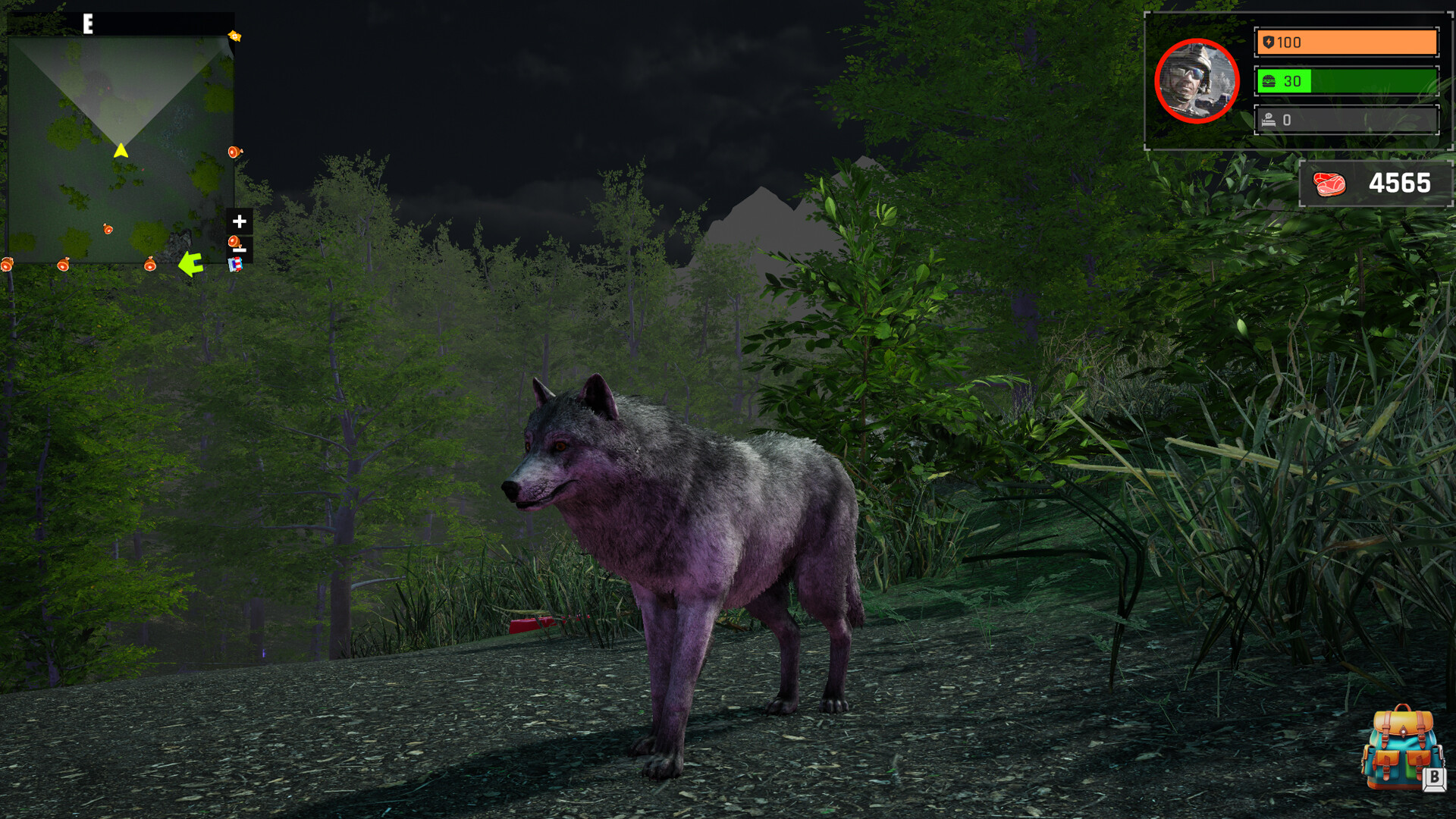 Wolf Simulator: Silent Paws - Screenshot 3