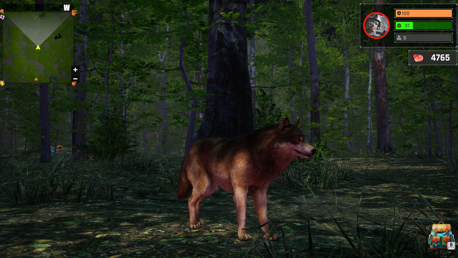 Wolf Simulator: Silent Paws - Screenshot 4