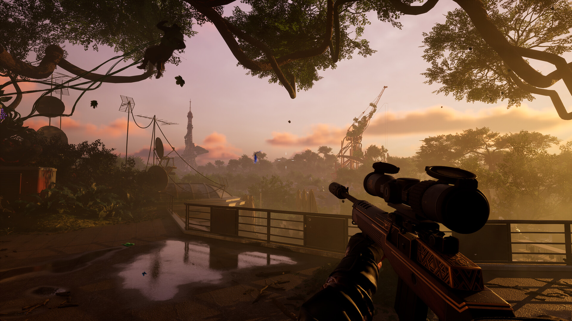 Forest Reigns - Screenshot 5